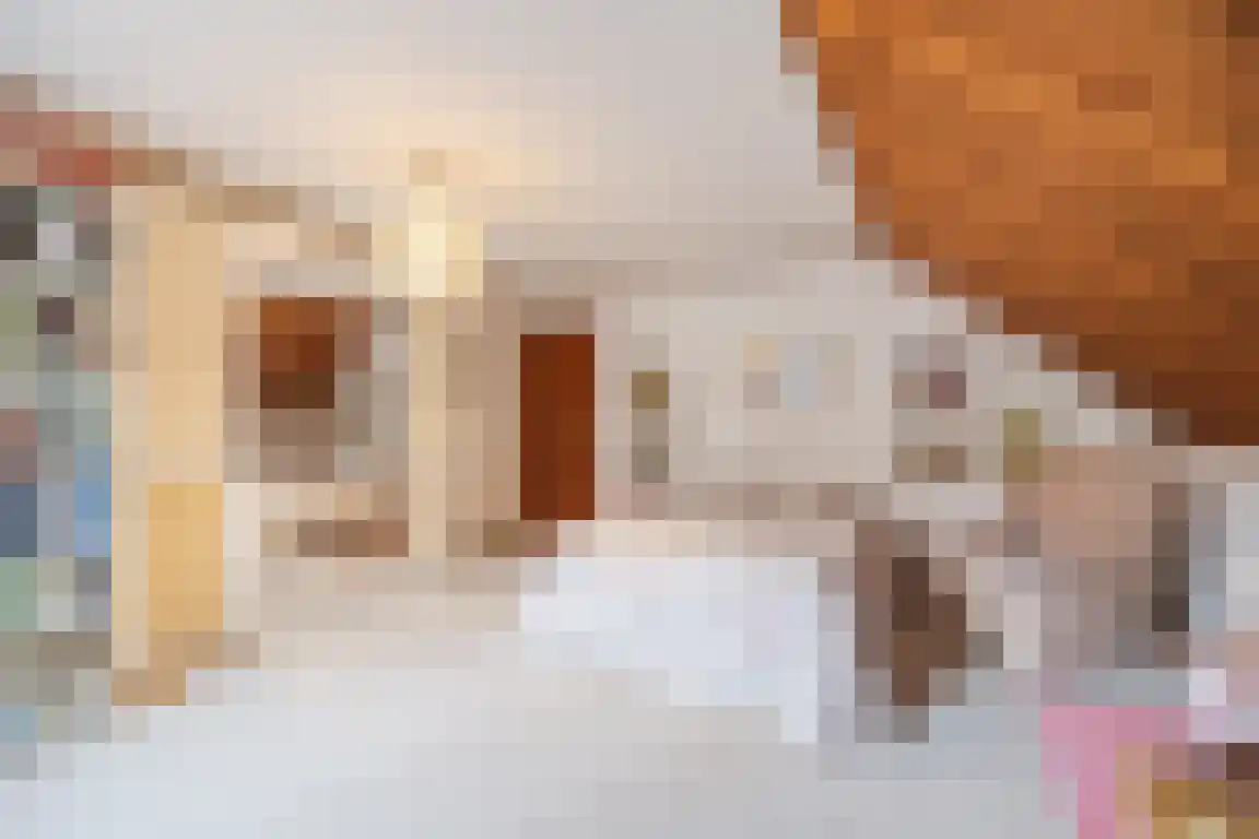 Hazelaarlaan 18 Putte thumbnail 31