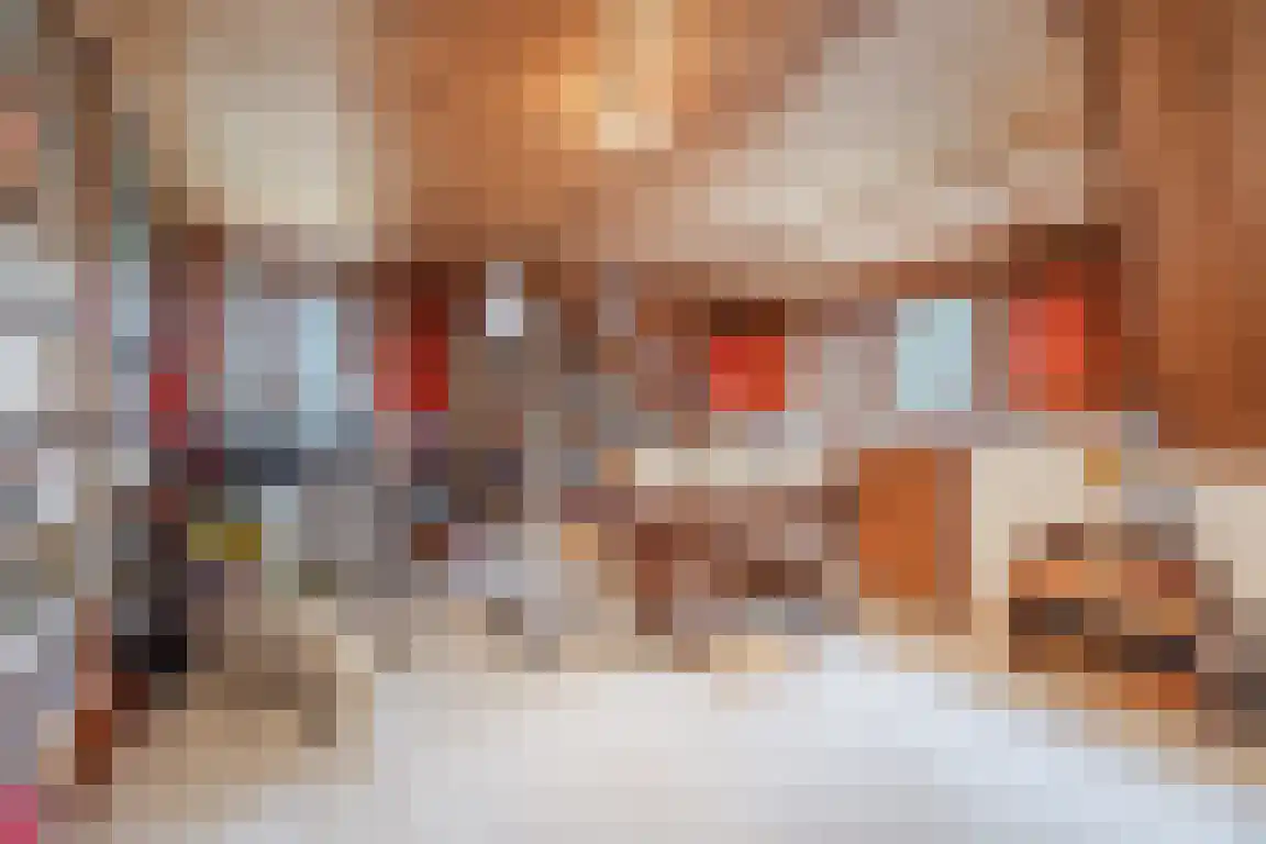 Hazelaarlaan 18 Putte thumbnail 34