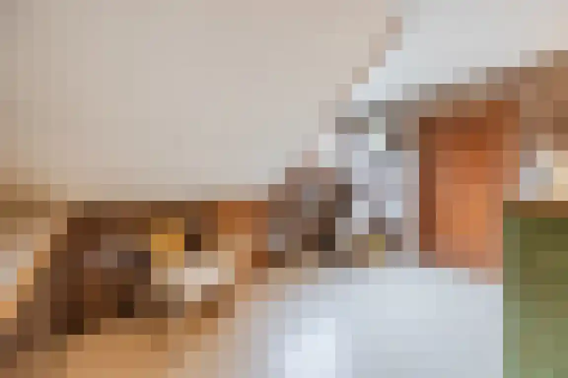 Hazelaarlaan 18 Putte thumbnail 41