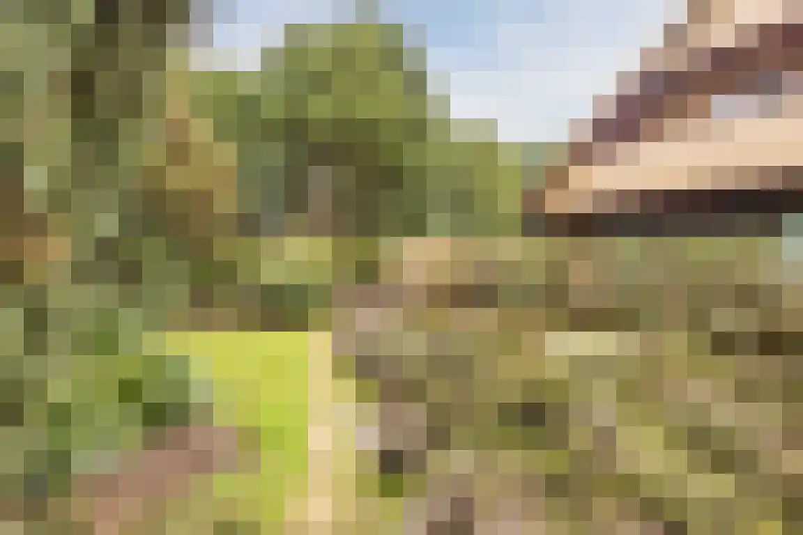 Hazelaarlaan 18 Putte thumbnail 47
