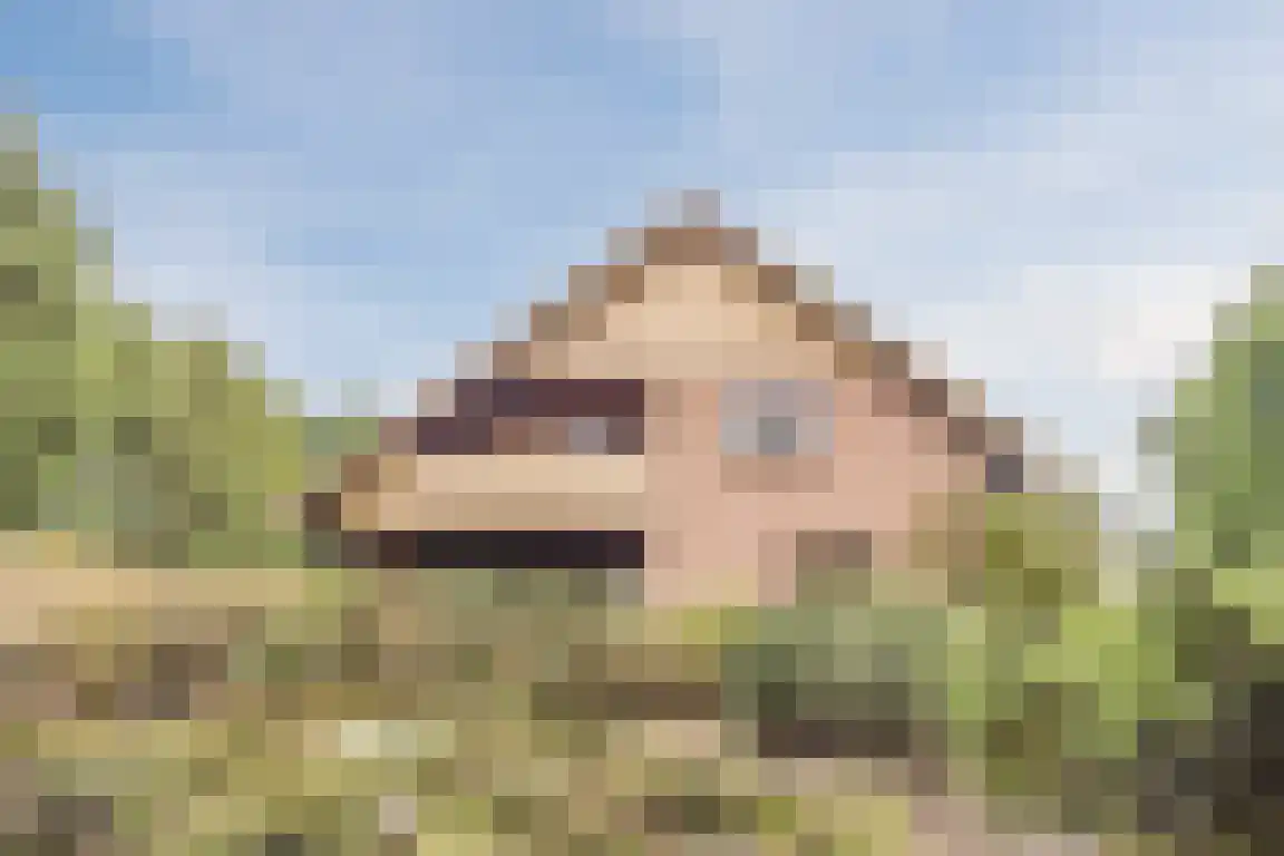 Hazelaarlaan 18 Putte thumbnail 48