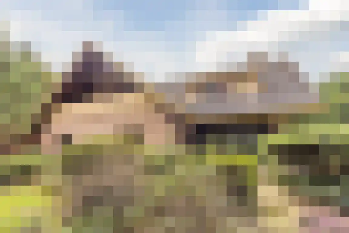 Hazelaarlaan 18 Putte thumbnail 49