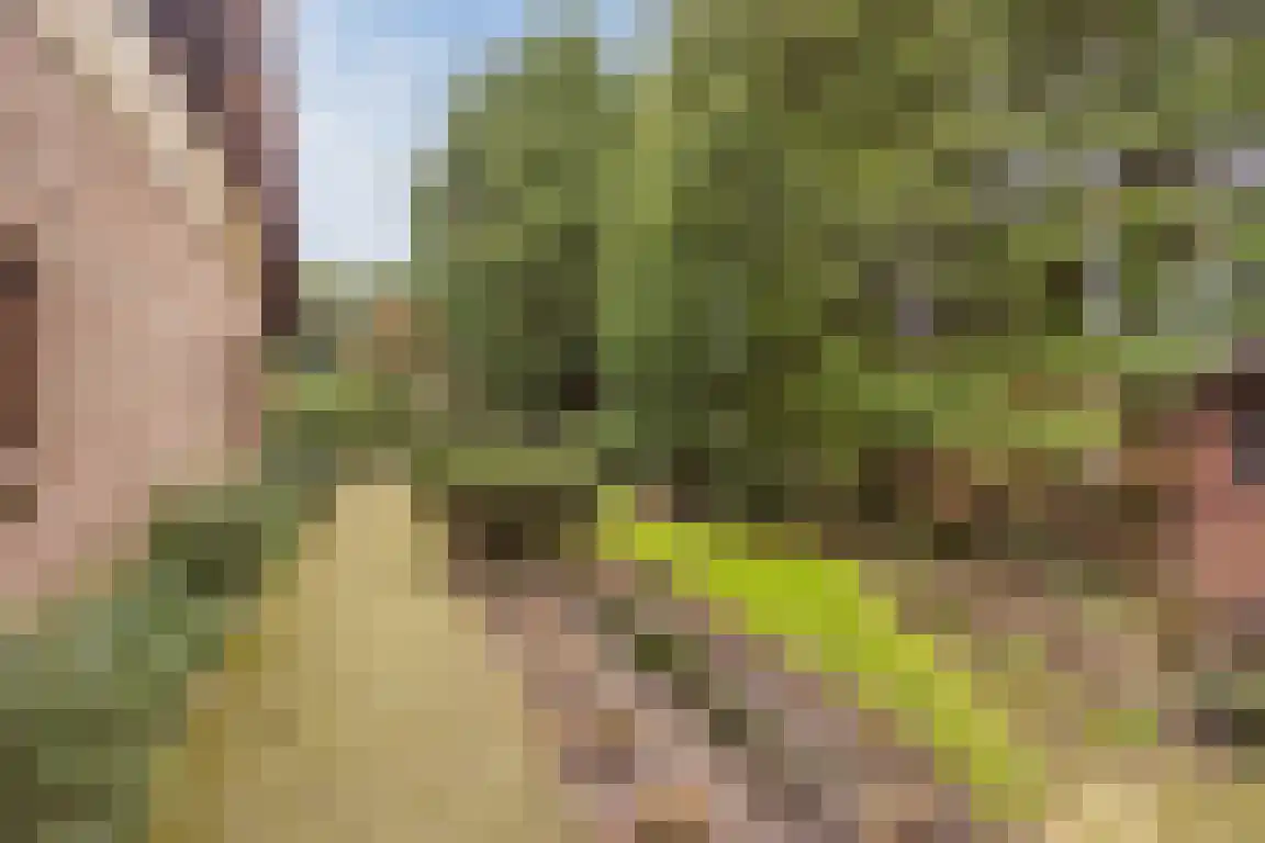 Hazelaarlaan 18 Putte thumbnail 52
