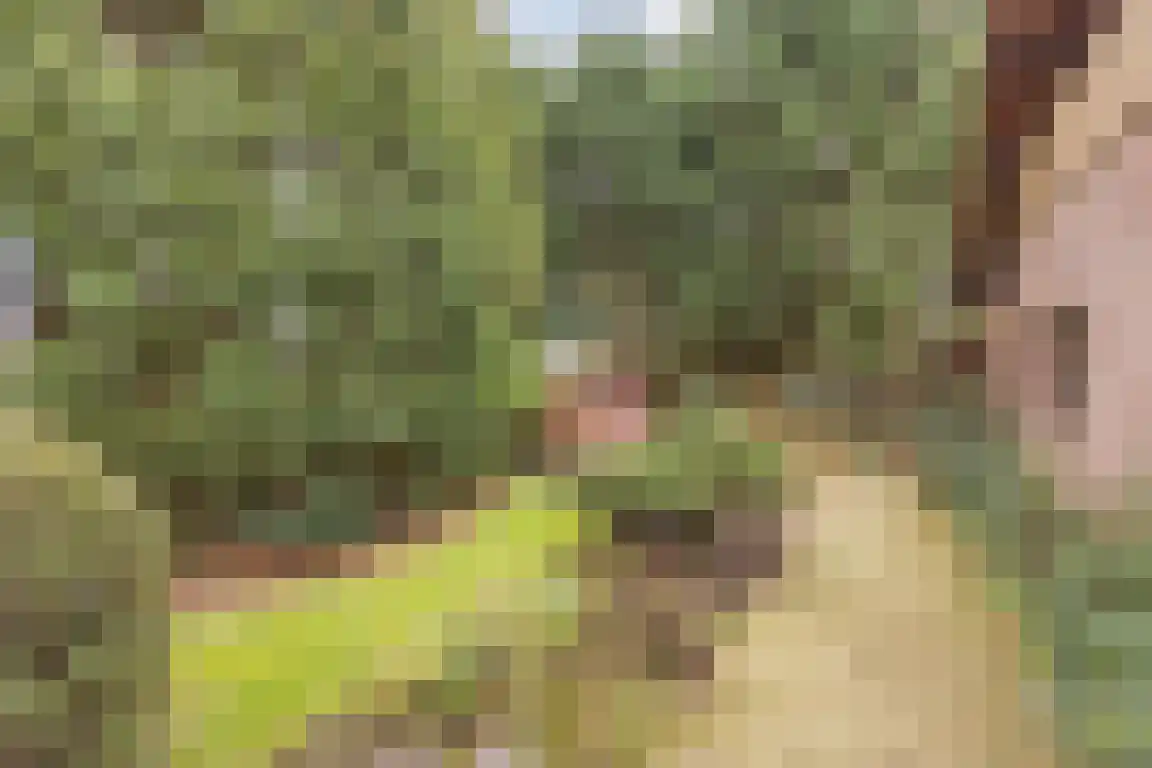 Hazelaarlaan 18 Putte thumbnail 53