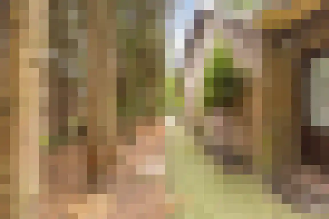 Hazelaarlaan 18 Putte thumbnail 54