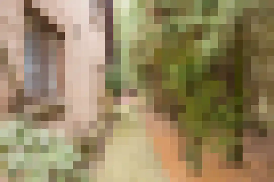 Hazelaarlaan 18 Putte thumbnail 55