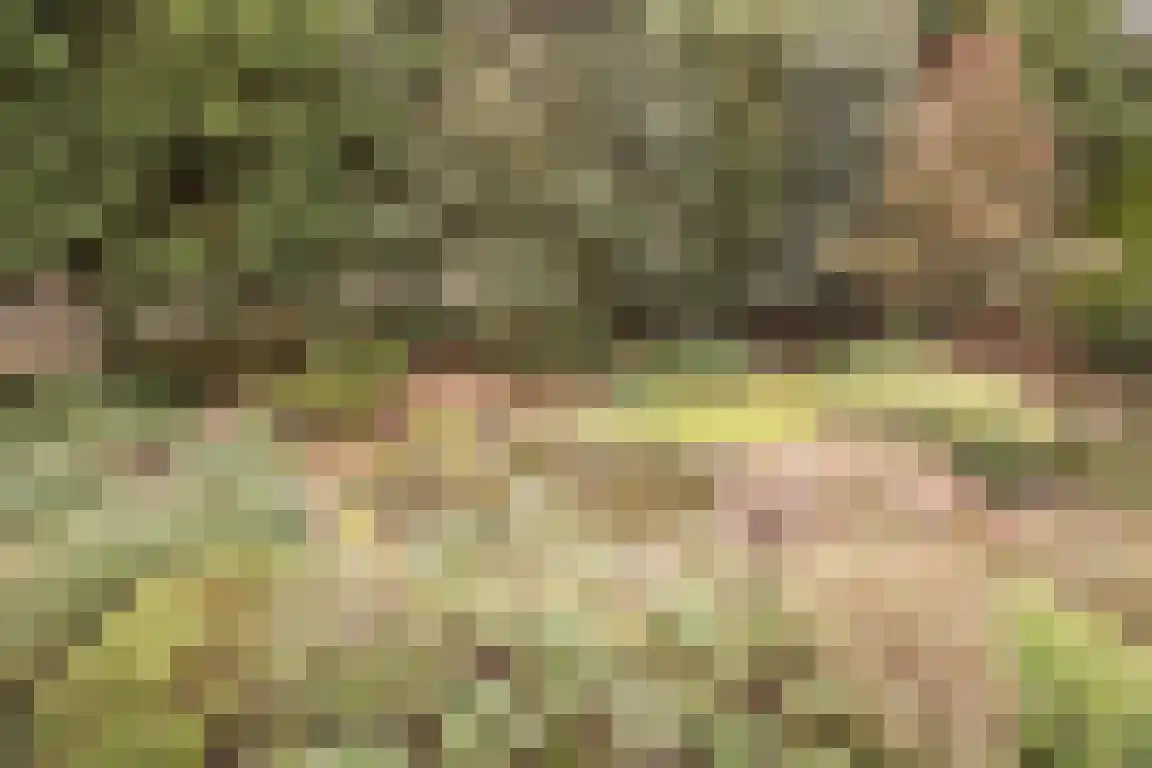 Hazelaarlaan 18 Putte thumbnail 57