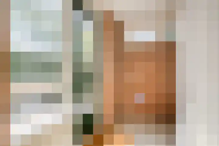 Hazelaarlaan 23 Zwolle thumbnail 12