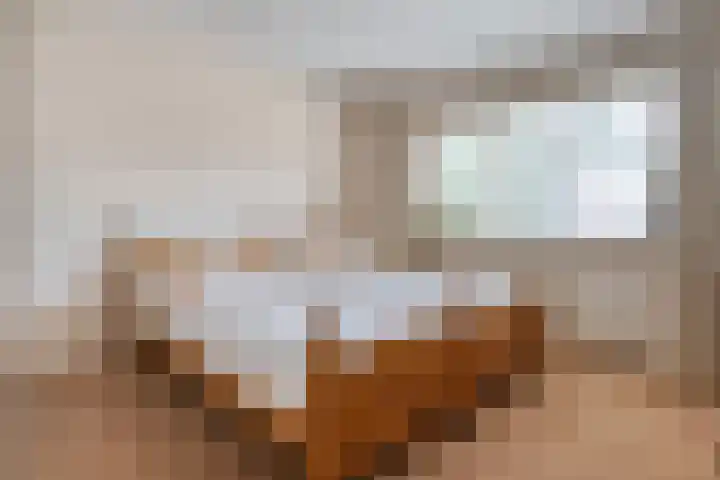 Hazelaarlaan 23 Zwolle thumbnail 15