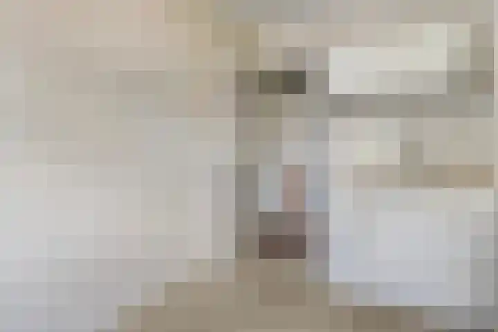 Hazelaarlaan 23 Zwolle thumbnail 20