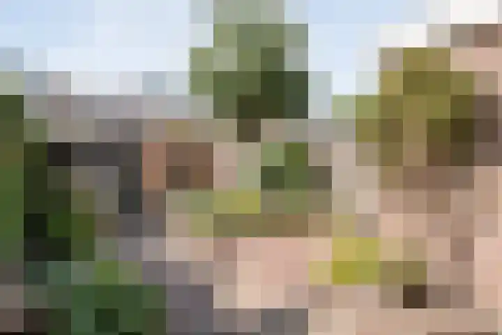 Hazelaarlaan 23 Zwolle thumbnail 27