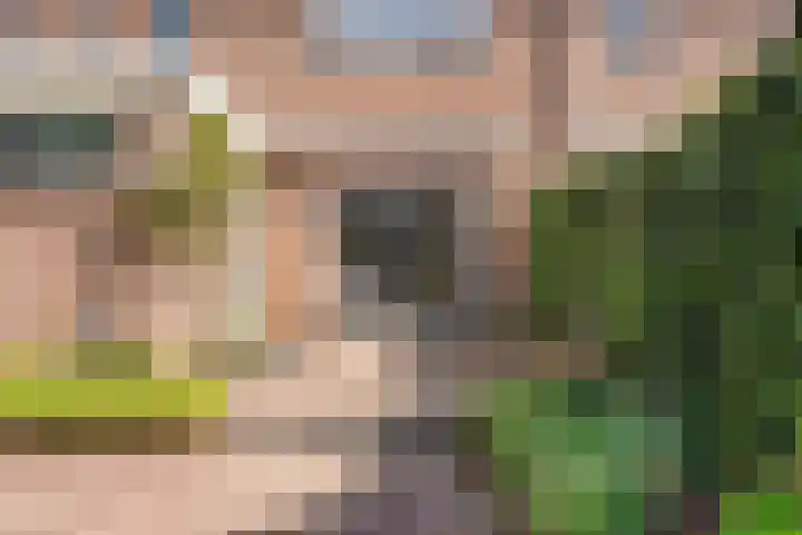 Hazelaarlaan 23 Zwolle thumbnail 28