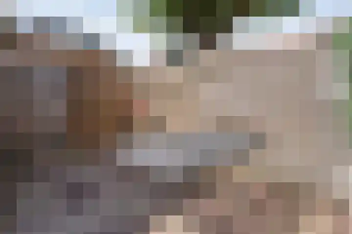 Hazelaarlaan 23 Zwolle thumbnail 30
