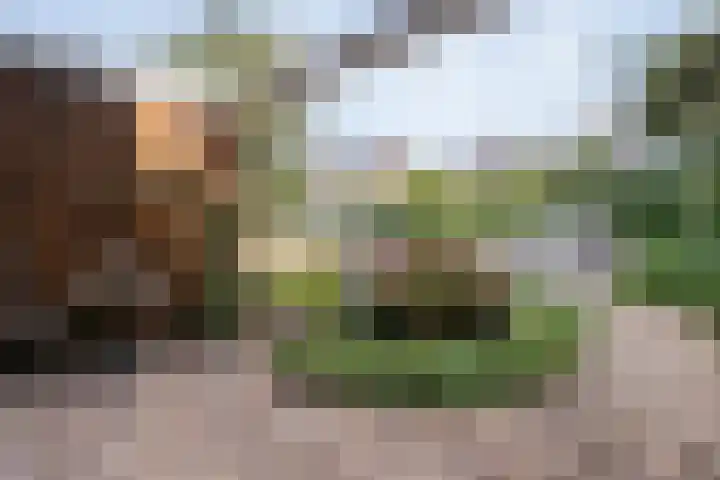 Hazelaarlaan 23 Zwolle thumbnail 32