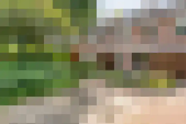 Hazelaarlaan 23 Zwolle thumbnail 33