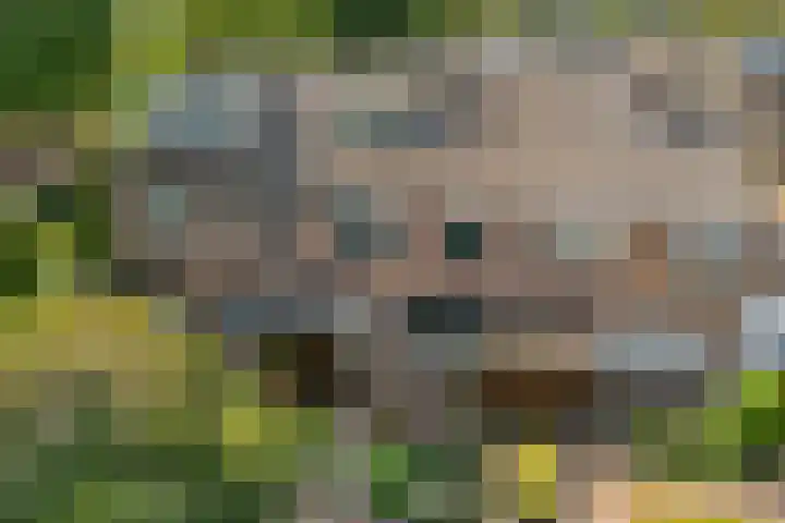 Hazelaarlaan 23 Zwolle thumbnail 35