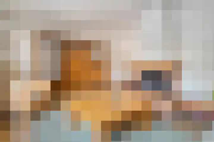Hazelaarlaan 23 Zwolle thumbnail 5
