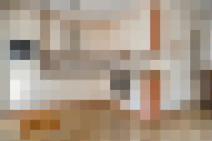 Hazelaarlaan 23 Zwolle thumbnail 8