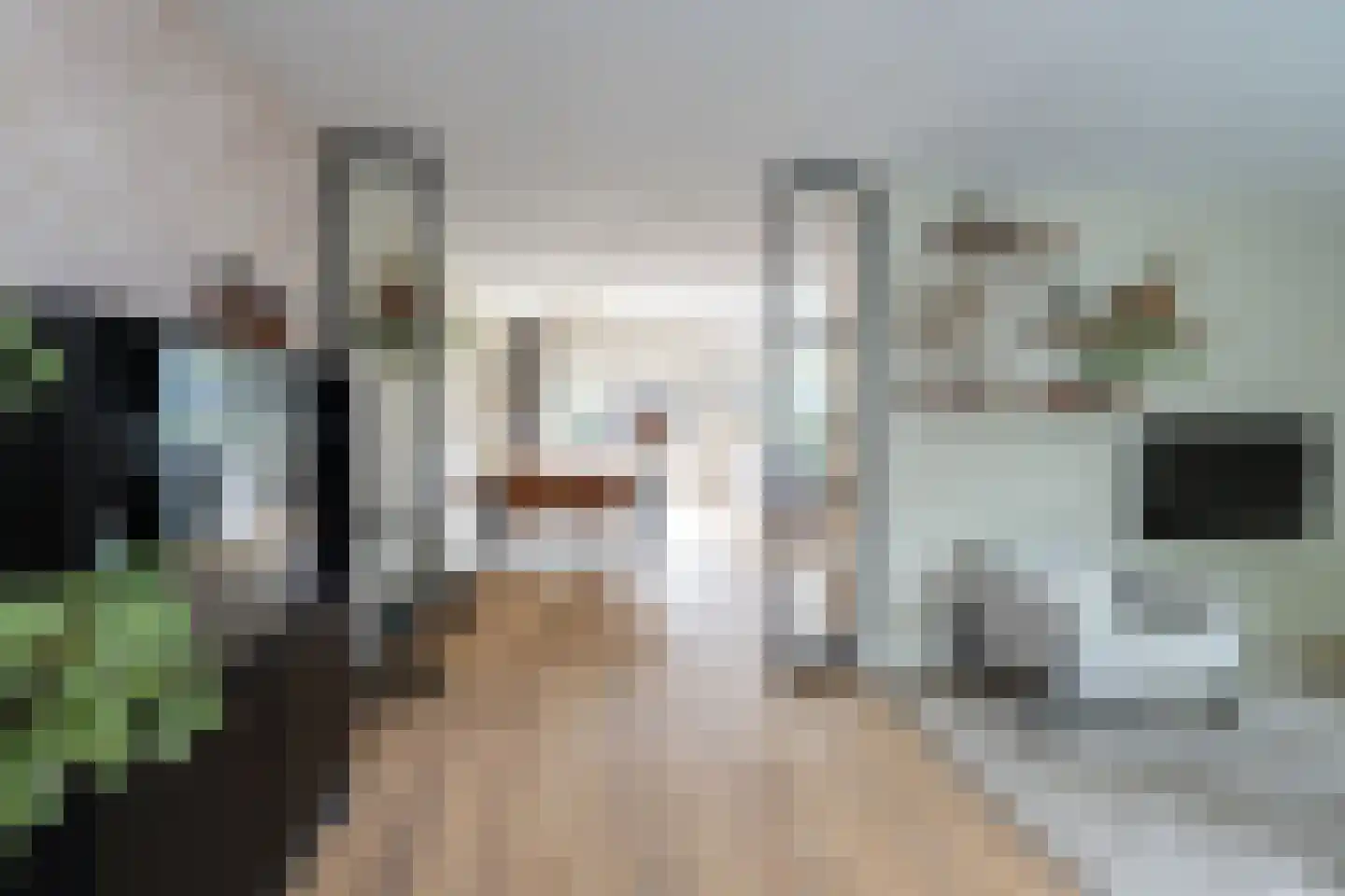 Hazelaarlaan 33 Zwolle thumbnail 11