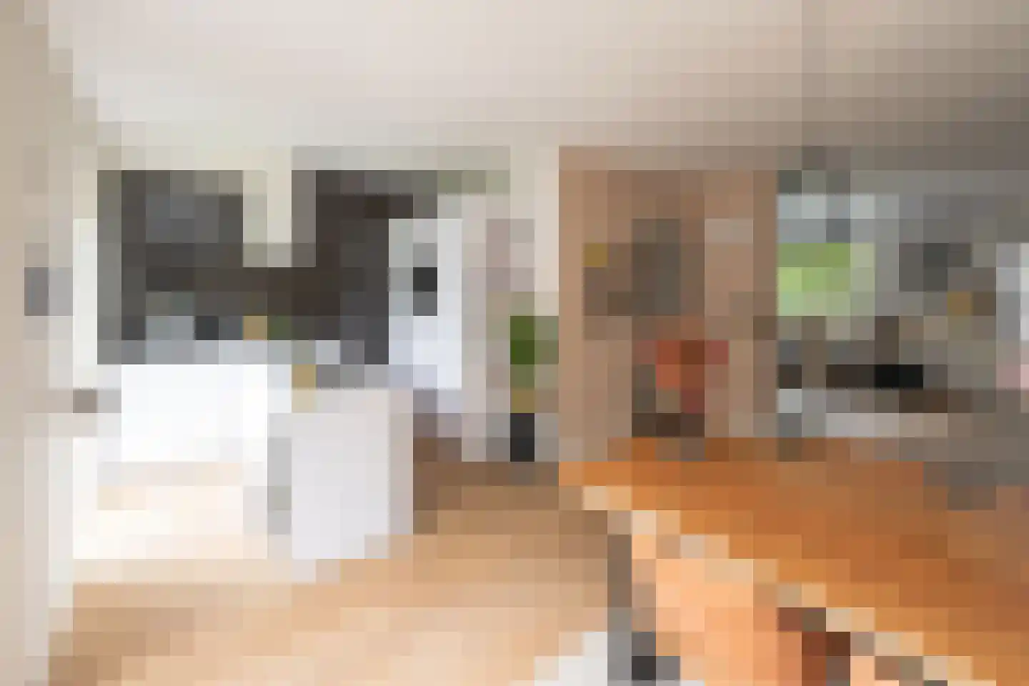 Hazelaarlaan 33 Zwolle thumbnail 16