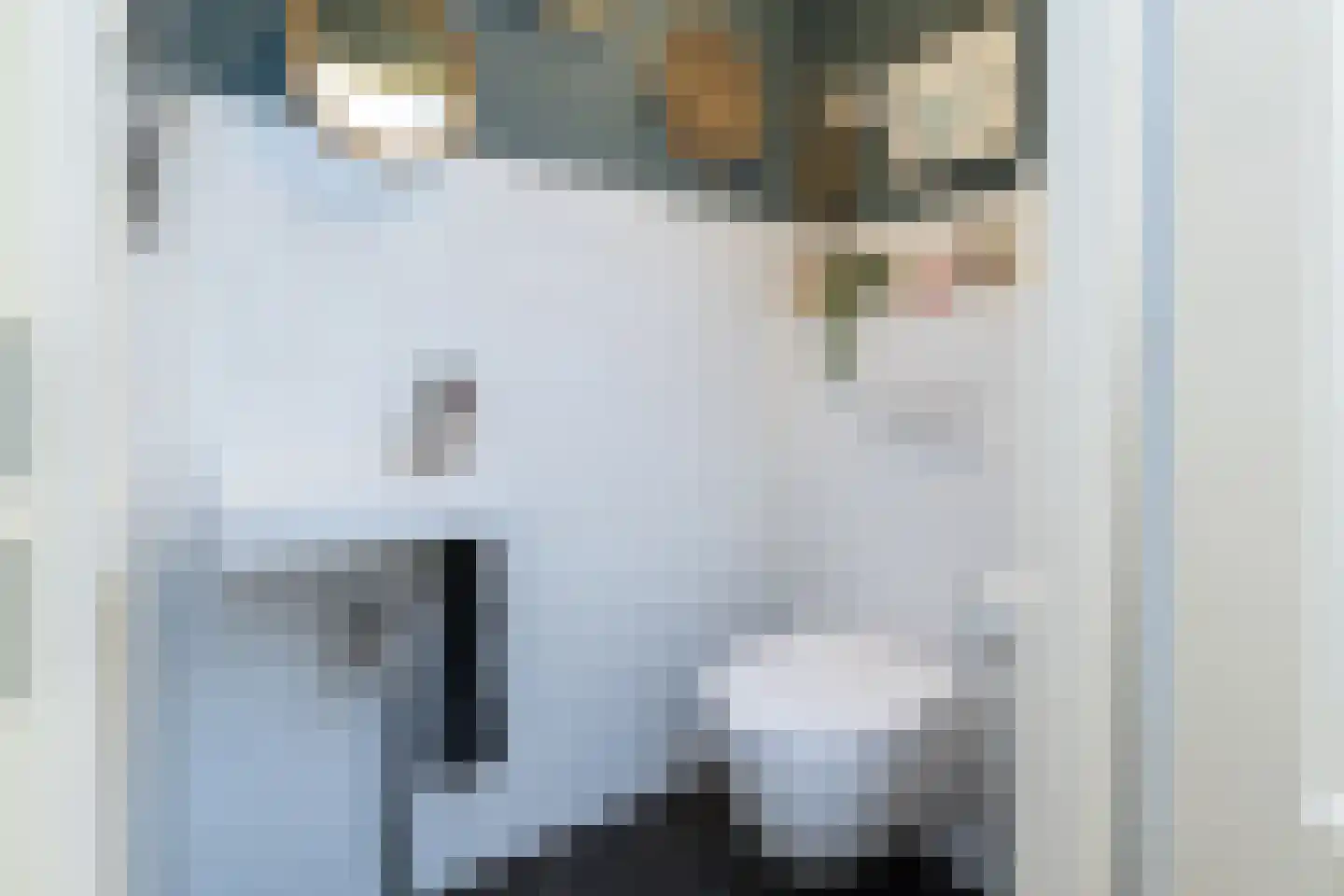 Hazelaarlaan 33 Zwolle thumbnail 20