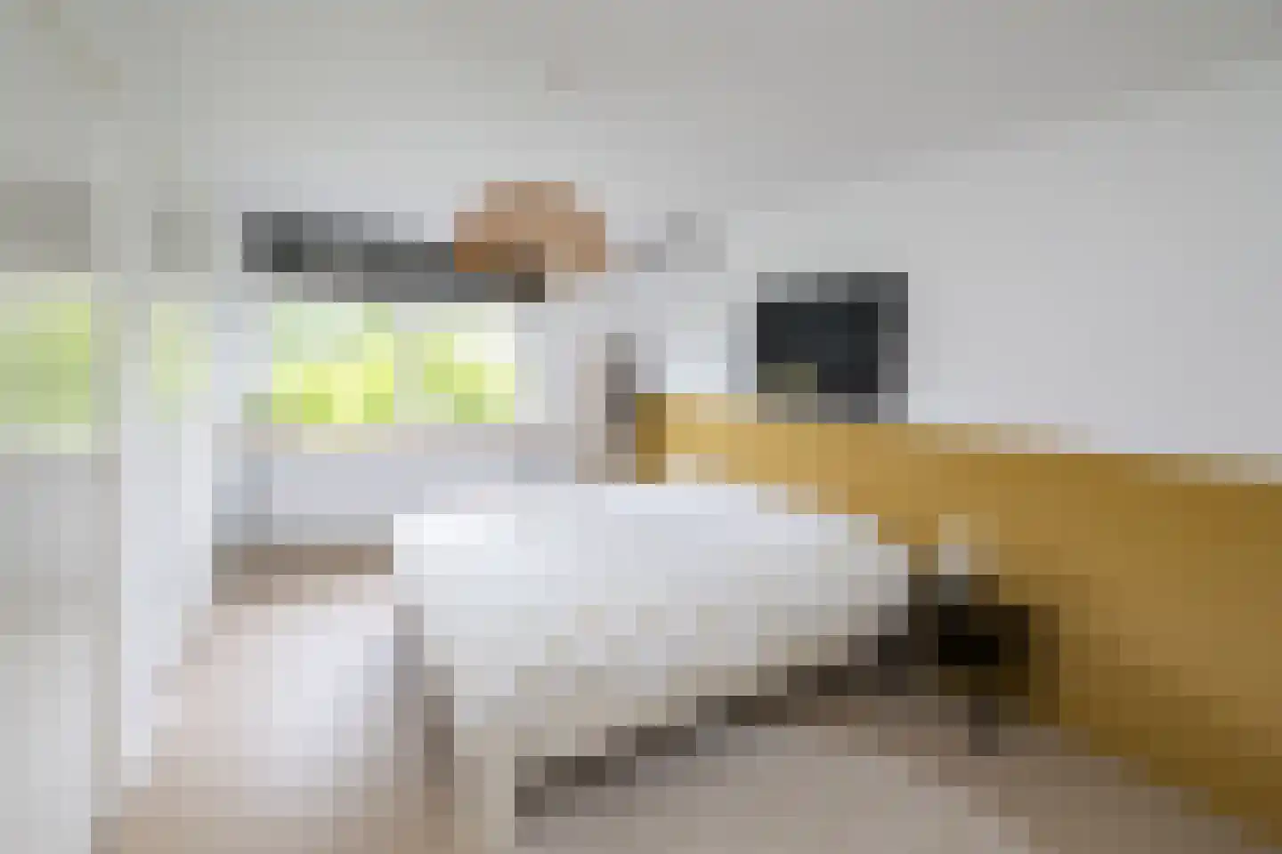 Hazelaarlaan 33 Zwolle thumbnail 21