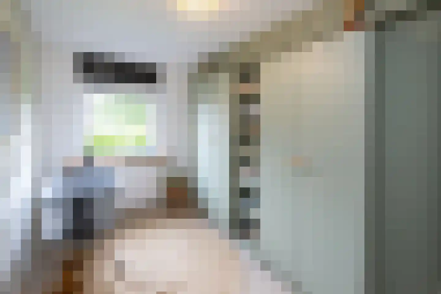 Hazelaarlaan 33 Zwolle thumbnail 25