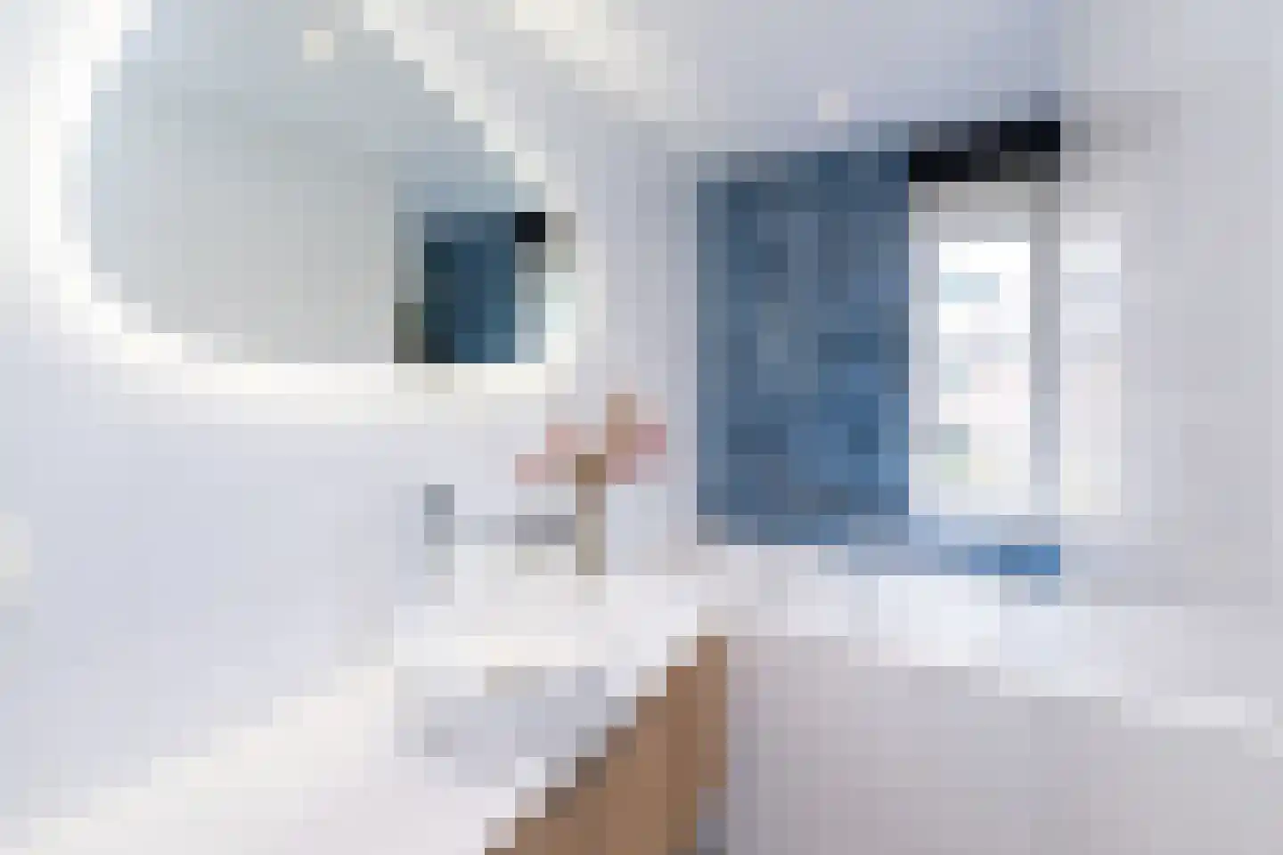 Hazelaarlaan 33 Zwolle thumbnail 30