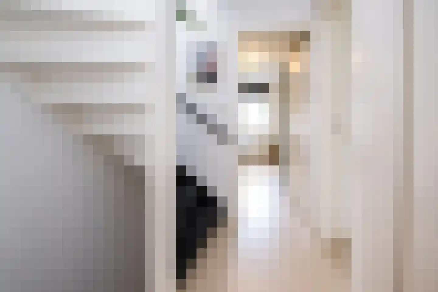 Hazelaarlaan 33 Zwolle thumbnail 31