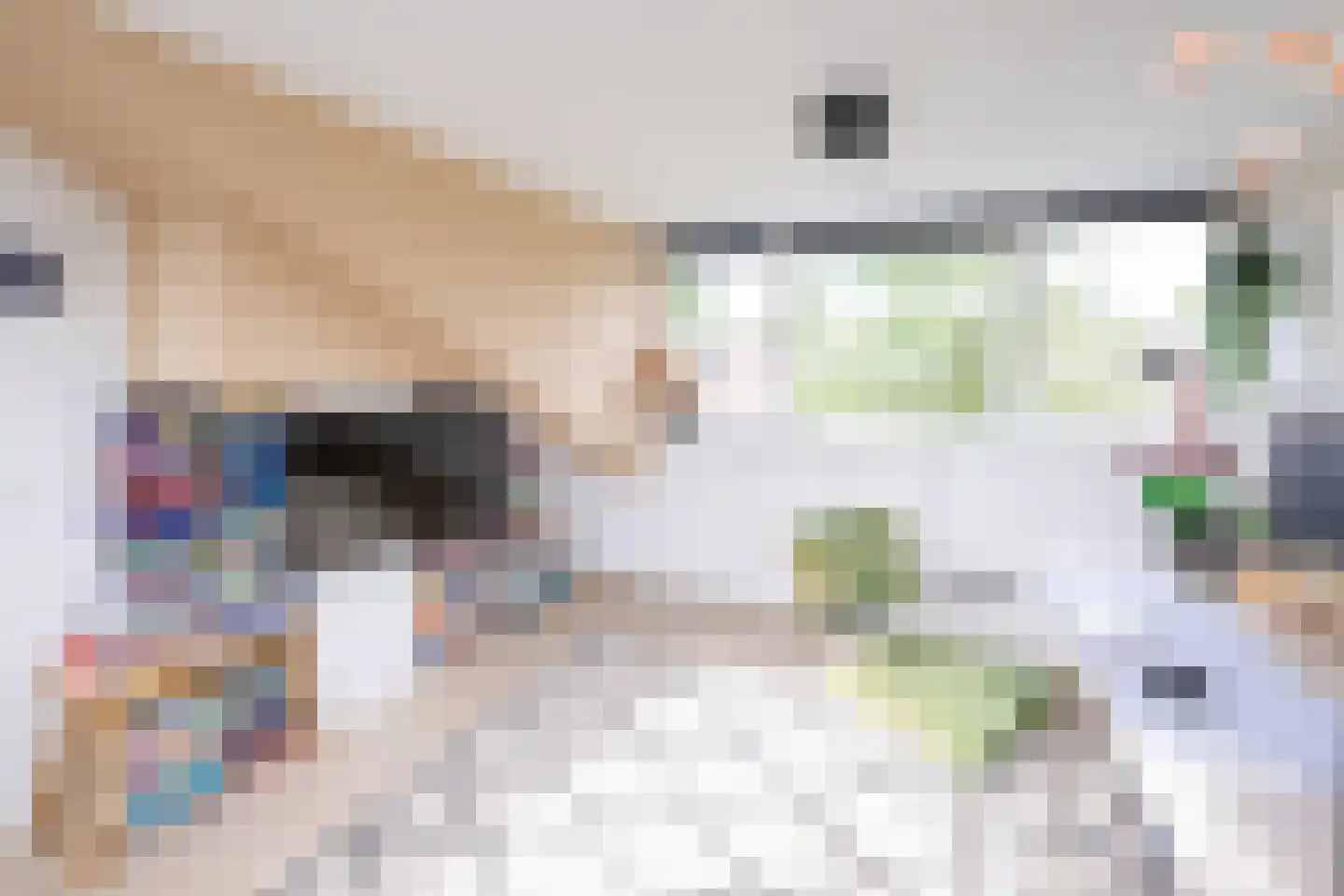 Hazelaarlaan 33 Zwolle thumbnail 34