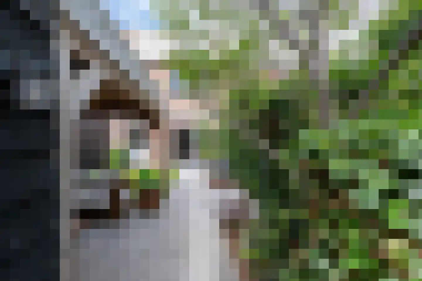 Hazelaarlaan 33 Zwolle thumbnail 35