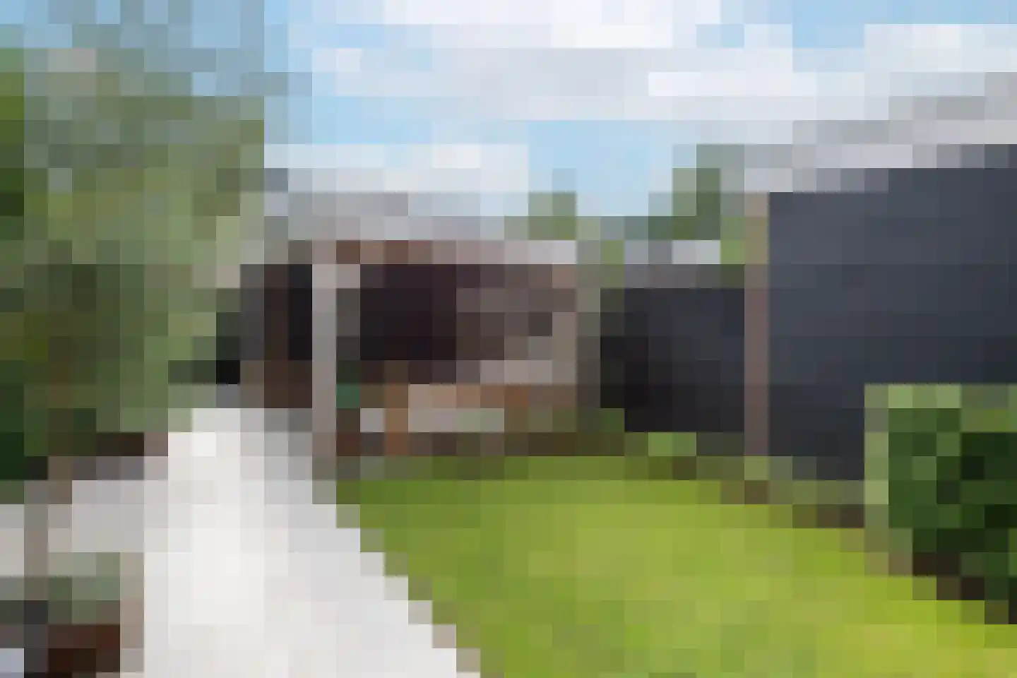 Hazelaarlaan 33 Zwolle thumbnail 37