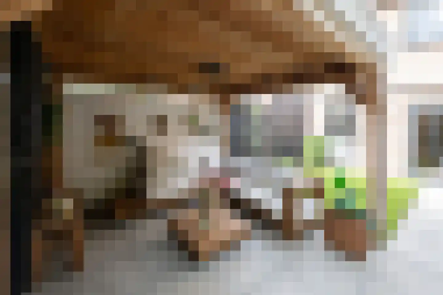 Hazelaarlaan 33 Zwolle thumbnail 39