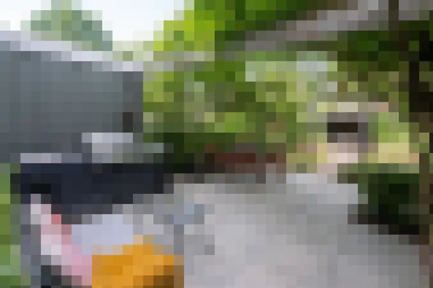 Hazelaarlaan 33 Zwolle thumbnail 4