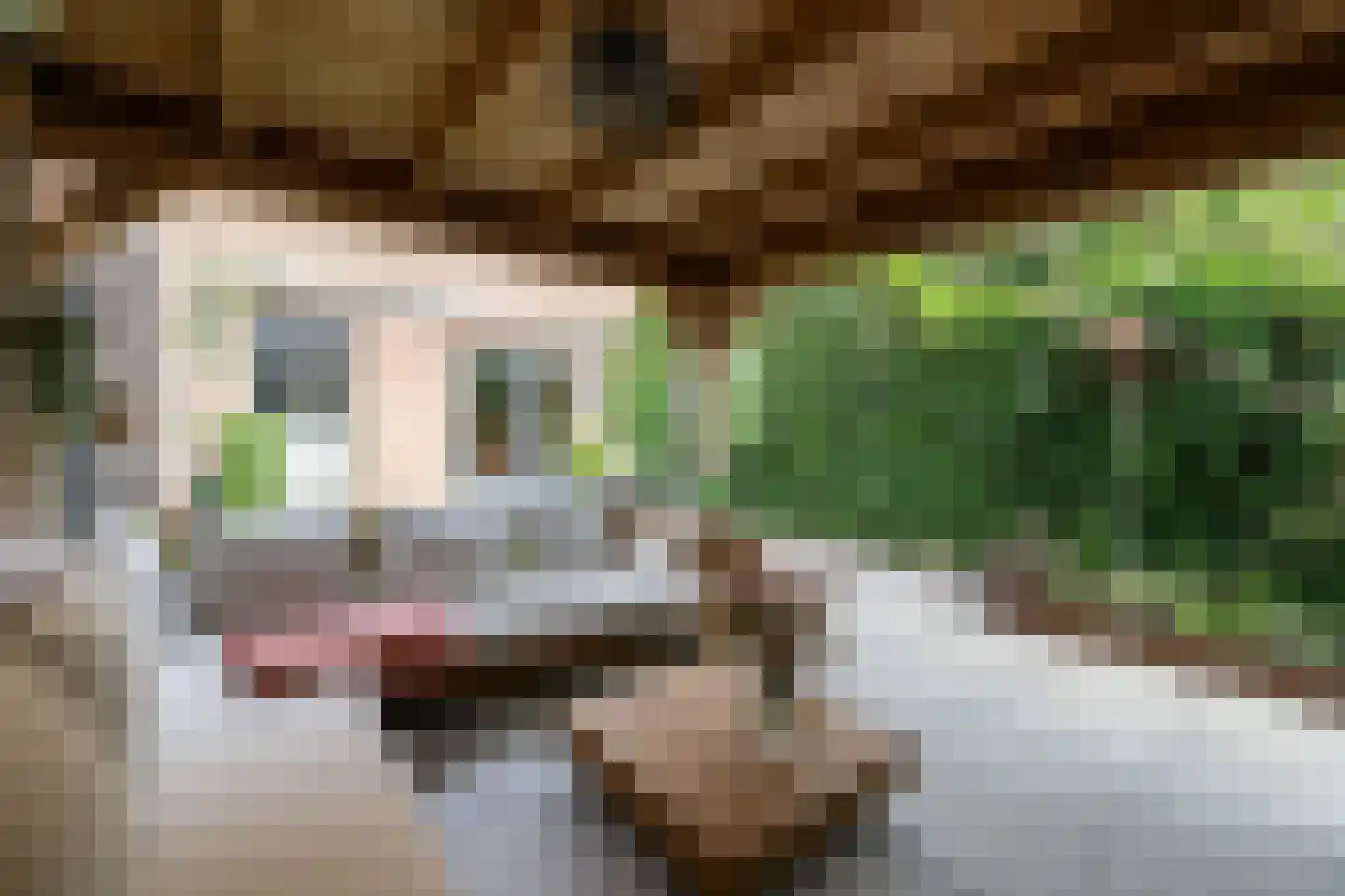 Hazelaarlaan 33 Zwolle thumbnail 40