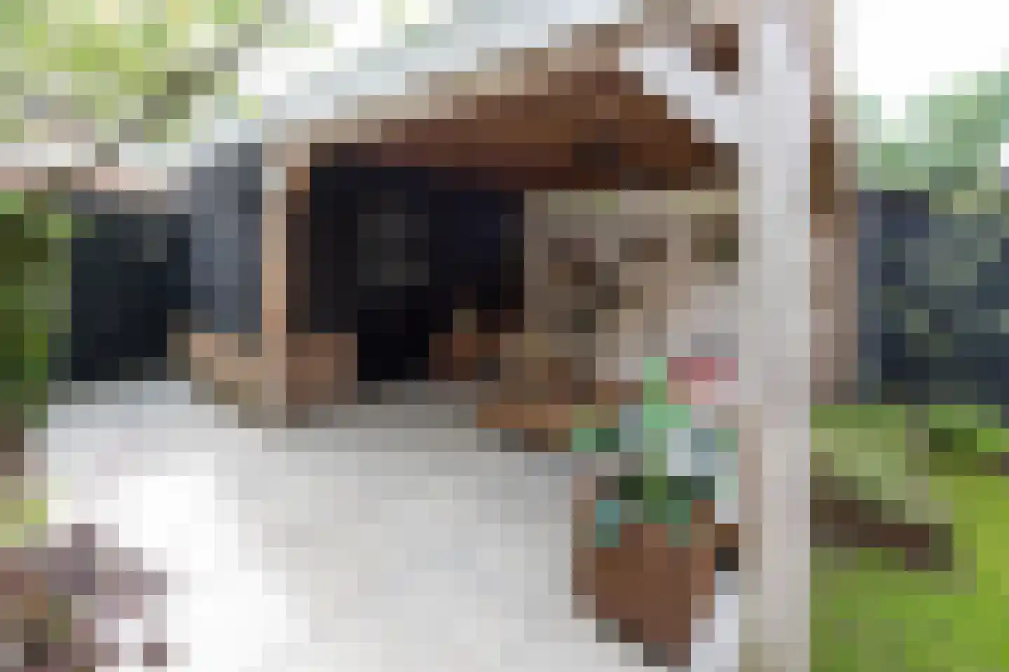Hazelaarlaan 33 Zwolle thumbnail 41
