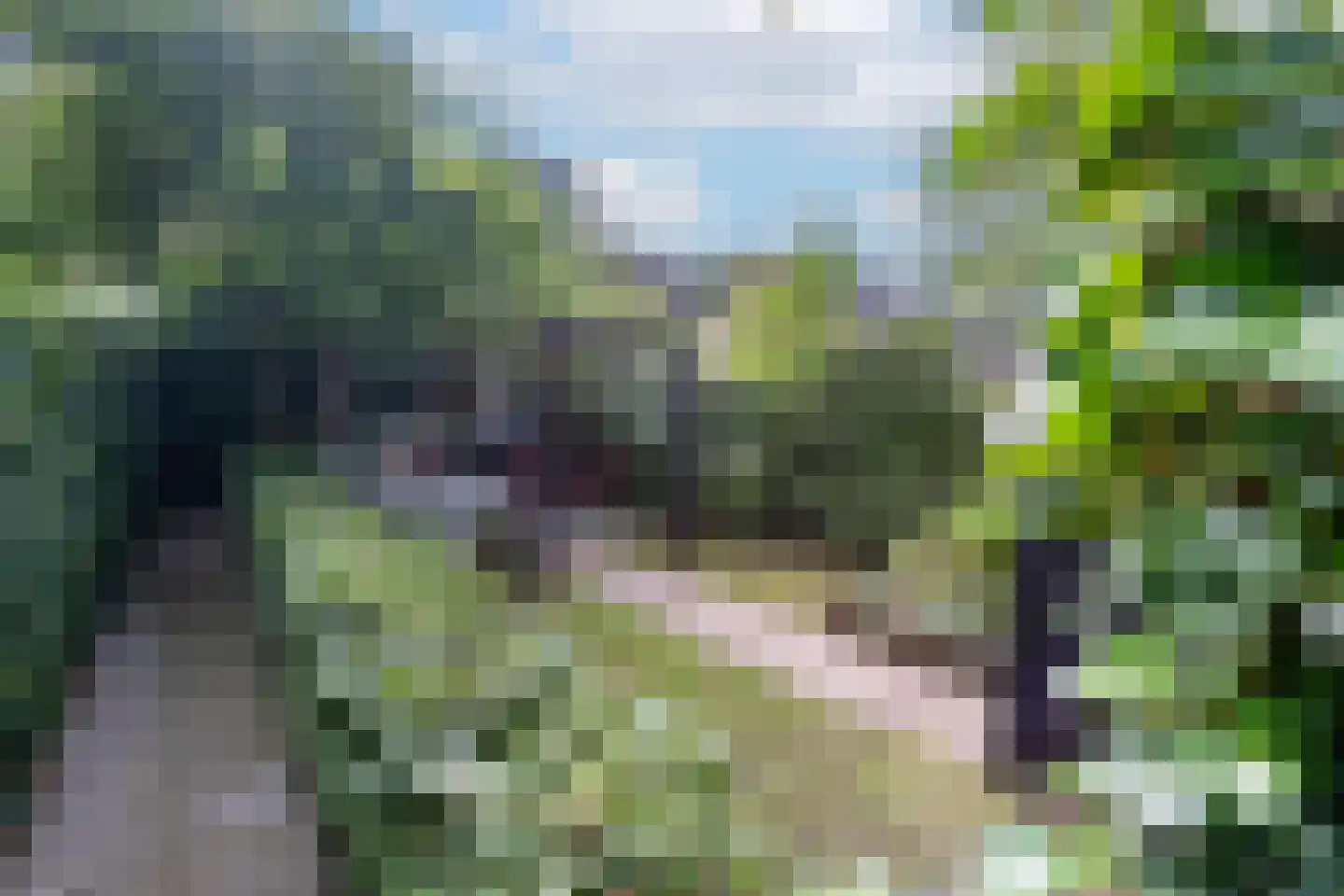 Hazelaarlaan 33 Zwolle thumbnail 43