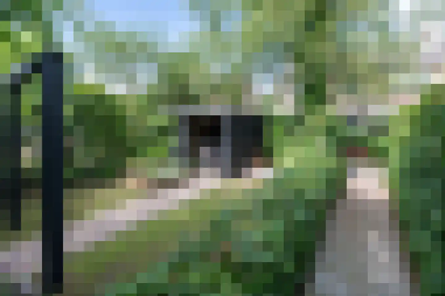 Hazelaarlaan 33 Zwolle thumbnail 44