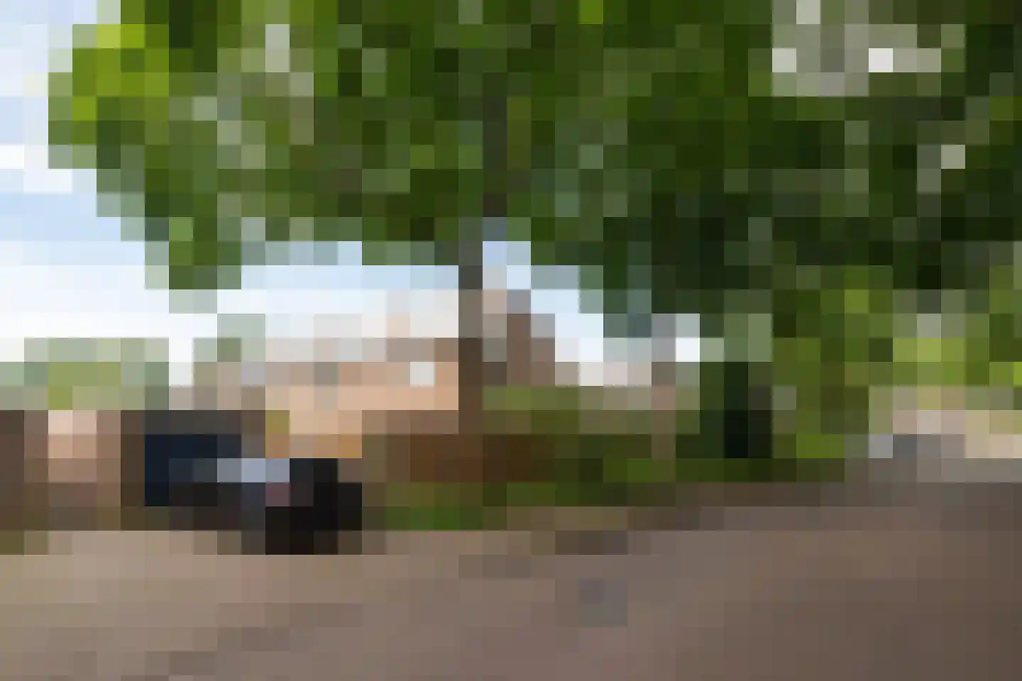 Hazelaarlaan 33 Zwolle thumbnail 46