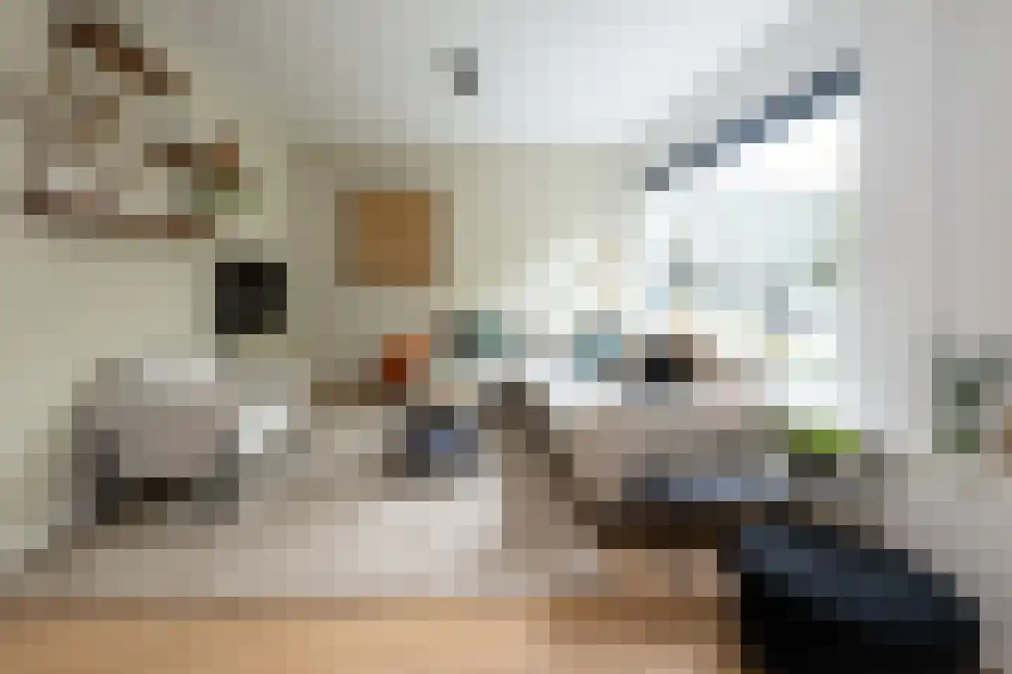Hazelaarlaan 33 Zwolle thumbnail 9