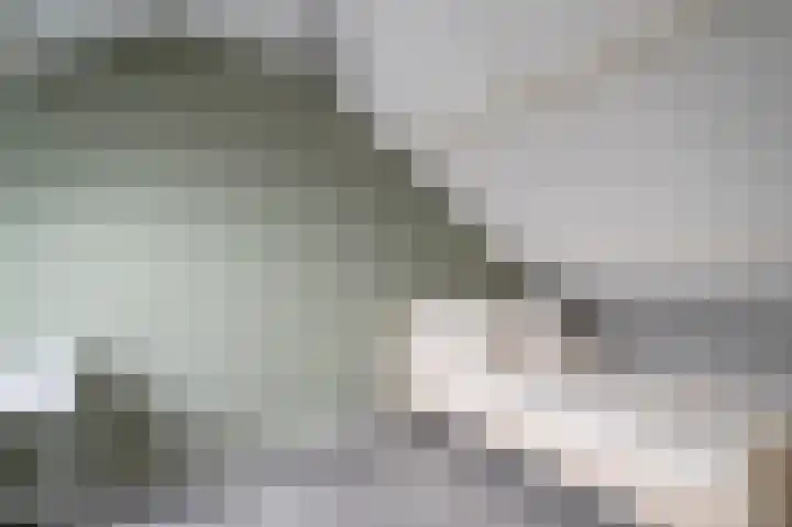 Hazelaarlaan 36 Rouveen thumbnail 26