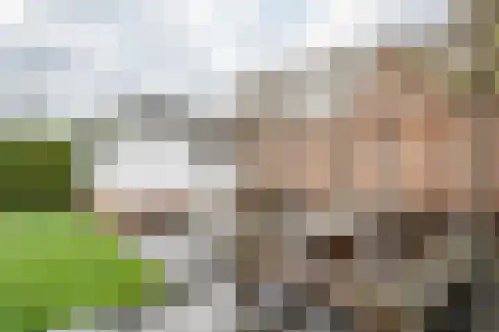 Hazelaarlaan 36 Rouveen thumbnail 33