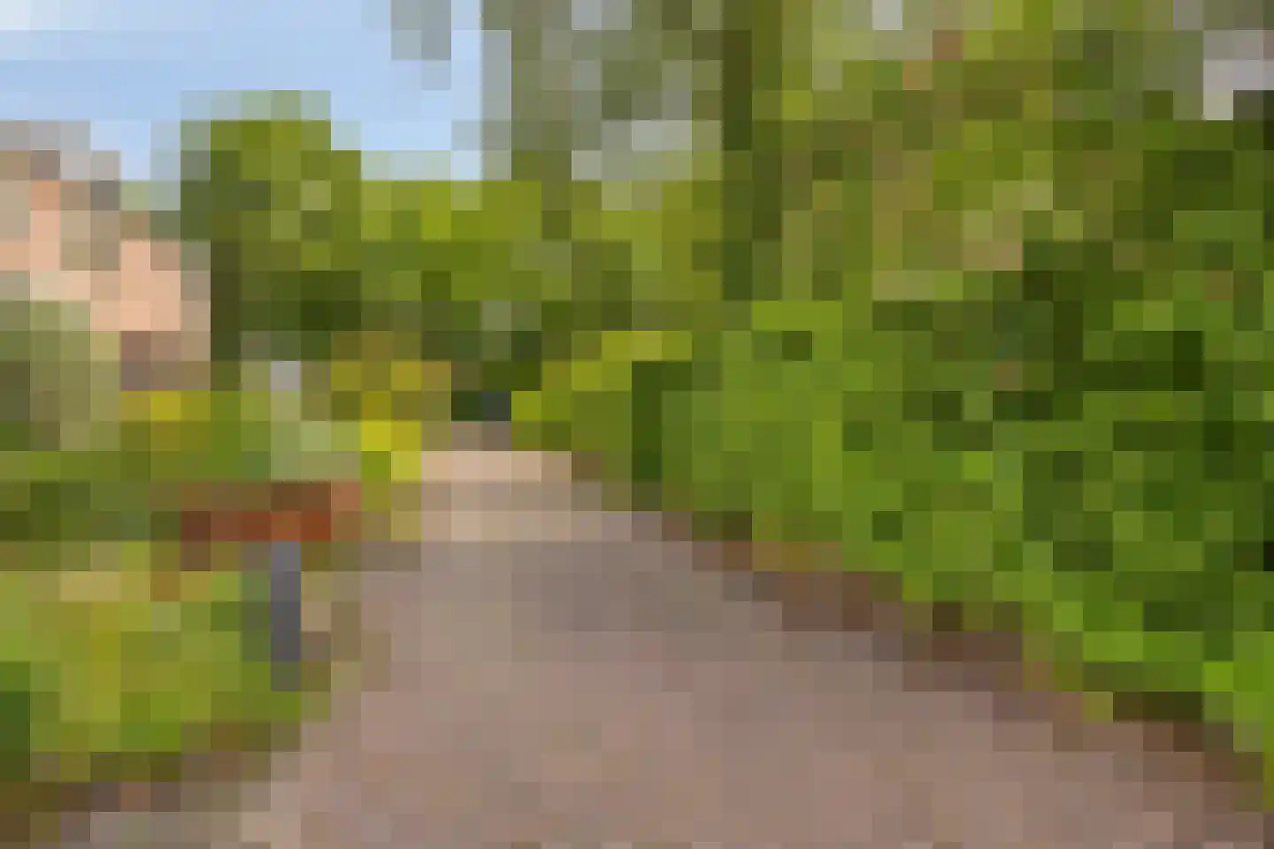 Hazelaarlaan 37 Zwolle thumbnail 33