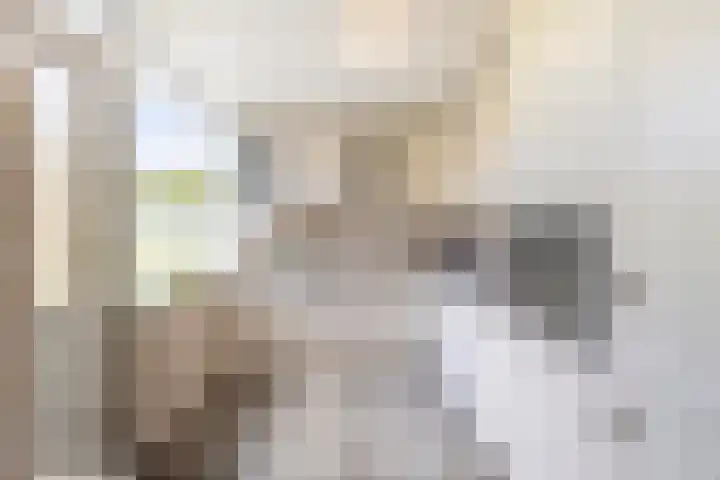 Hazelaarlaan 44 Ameide thumbnail 15
