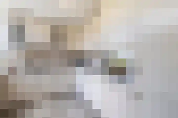 Hazelaarlaan 44 Ameide thumbnail 16
