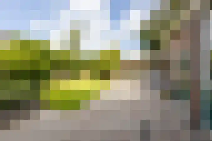 Hazelaarlaan 44 Ameide thumbnail 26