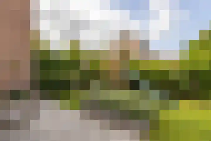 Hazelaarlaan 44 Ameide thumbnail 27
