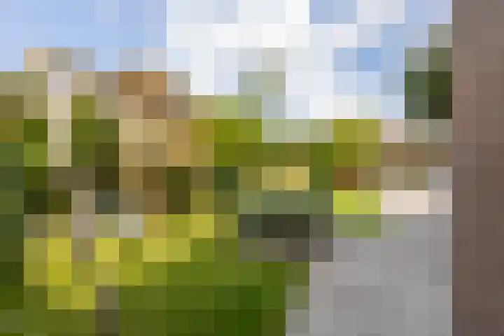 Hazelaarlaan 44 Ameide thumbnail 28