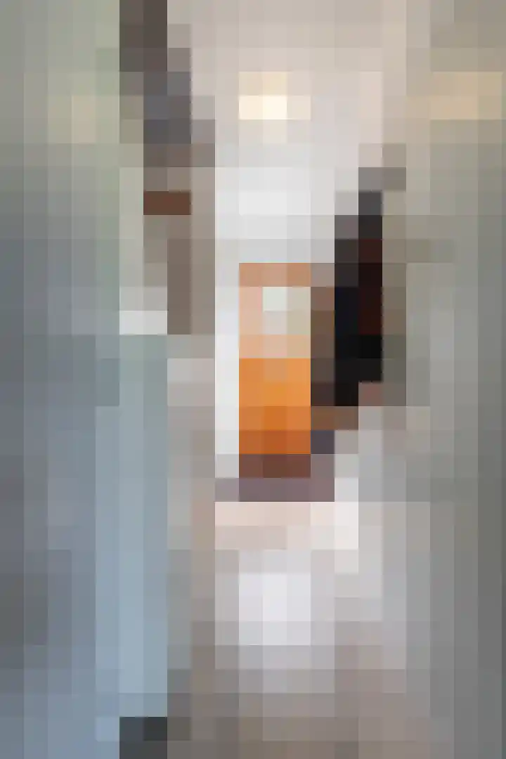 Hazelaarlaan 44 Ameide thumbnail 7