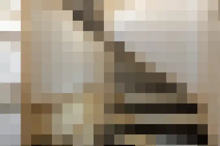 Hazelaarlaan 58 Ameide thumbnail 18